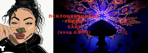 сатива Алексеевка