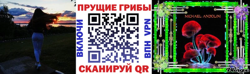 Галлюциногенные грибы Psilocybine cubensis  где продают   Чкаловск 