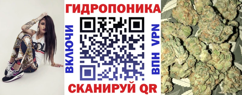 дарнет шоп  Чкаловск  Канабис индика 